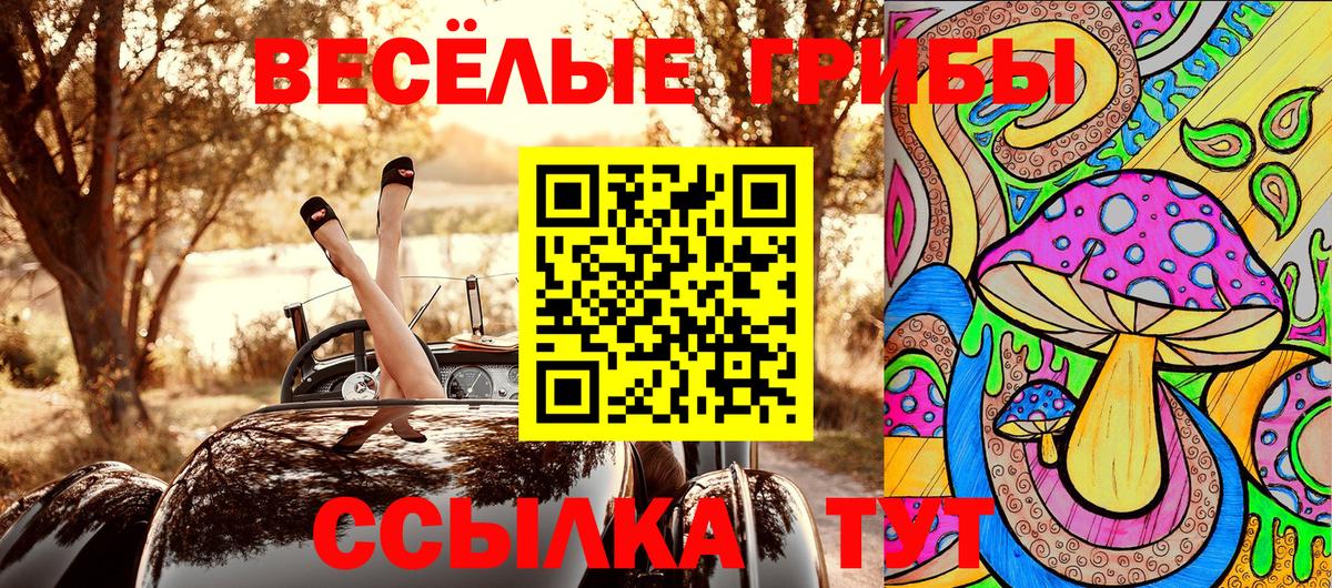 как найти закладки  Вход с VPN  Галлюциногенные грибы Psilocybine cubensis  Малоярославец  Галлюциногенные грибы Psilocybine cubensis 